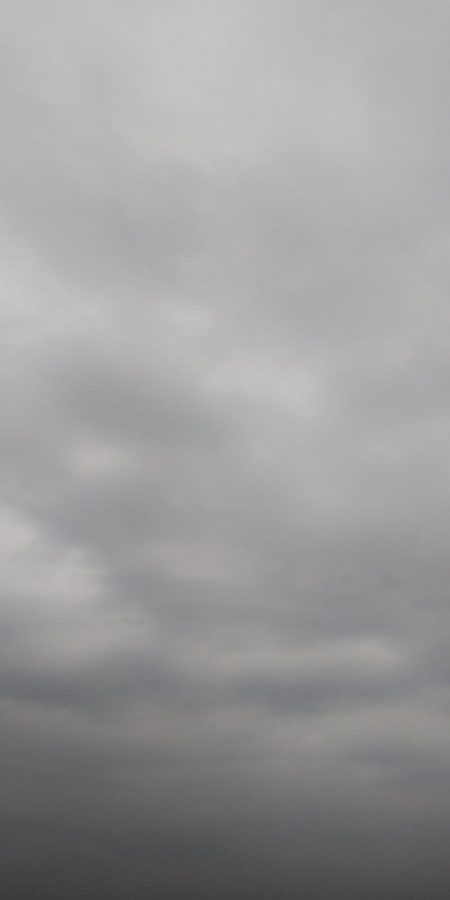 今日も１パイだけ